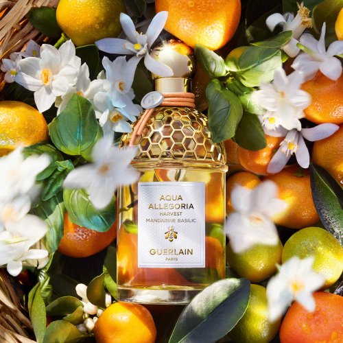 GUERLAIN 3346470146990 GUERLAIN 3346470146990